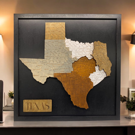 3D Texas Map